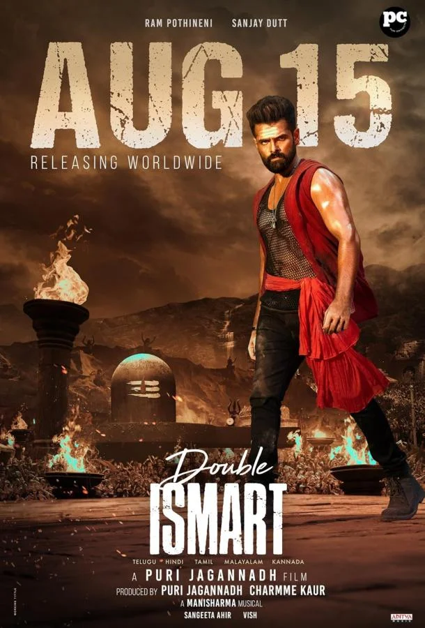 Смотреть Фильм Двойной разум(2024) бесплатно