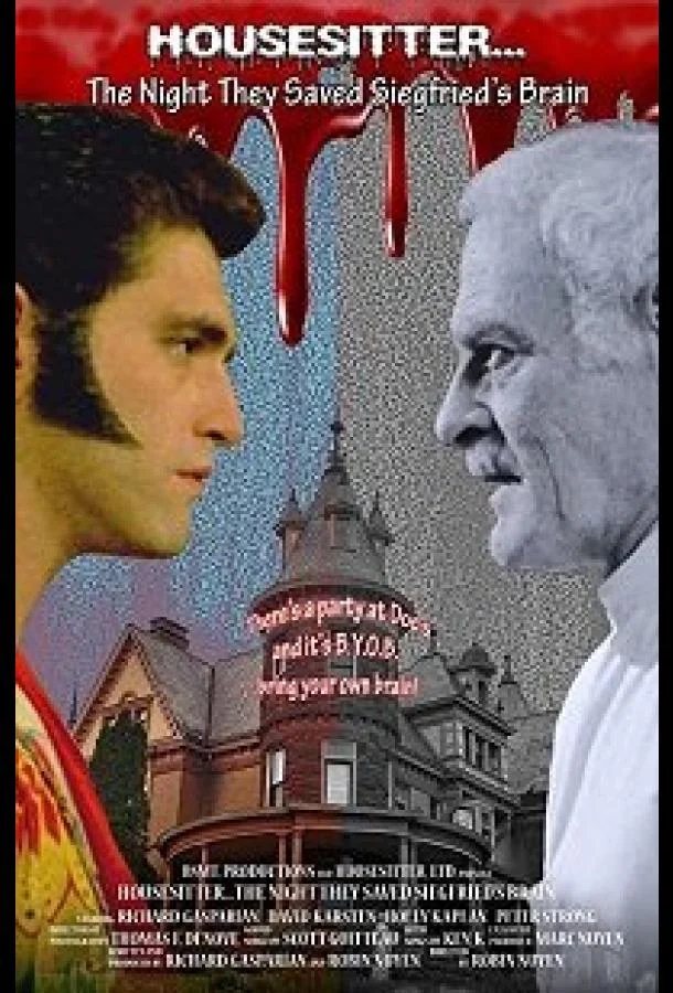 Смотреть Фильм Присмотреть за домом: ночь, когда бы спасен мозг Зигфрида(2018) бесплатно